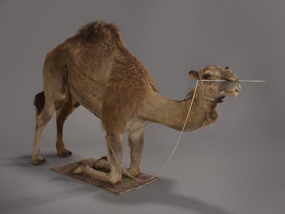 ホアン・ヨンピン