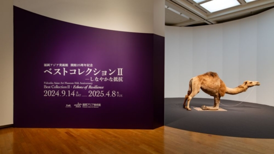 福冈亚洲美术馆开馆 25周年纪念 最佳馆藏Ⅱ—柔软的抵抗